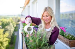 Lee más sobre el artículo Plantas y flores a prueba de sol, calor, verano y mala mano