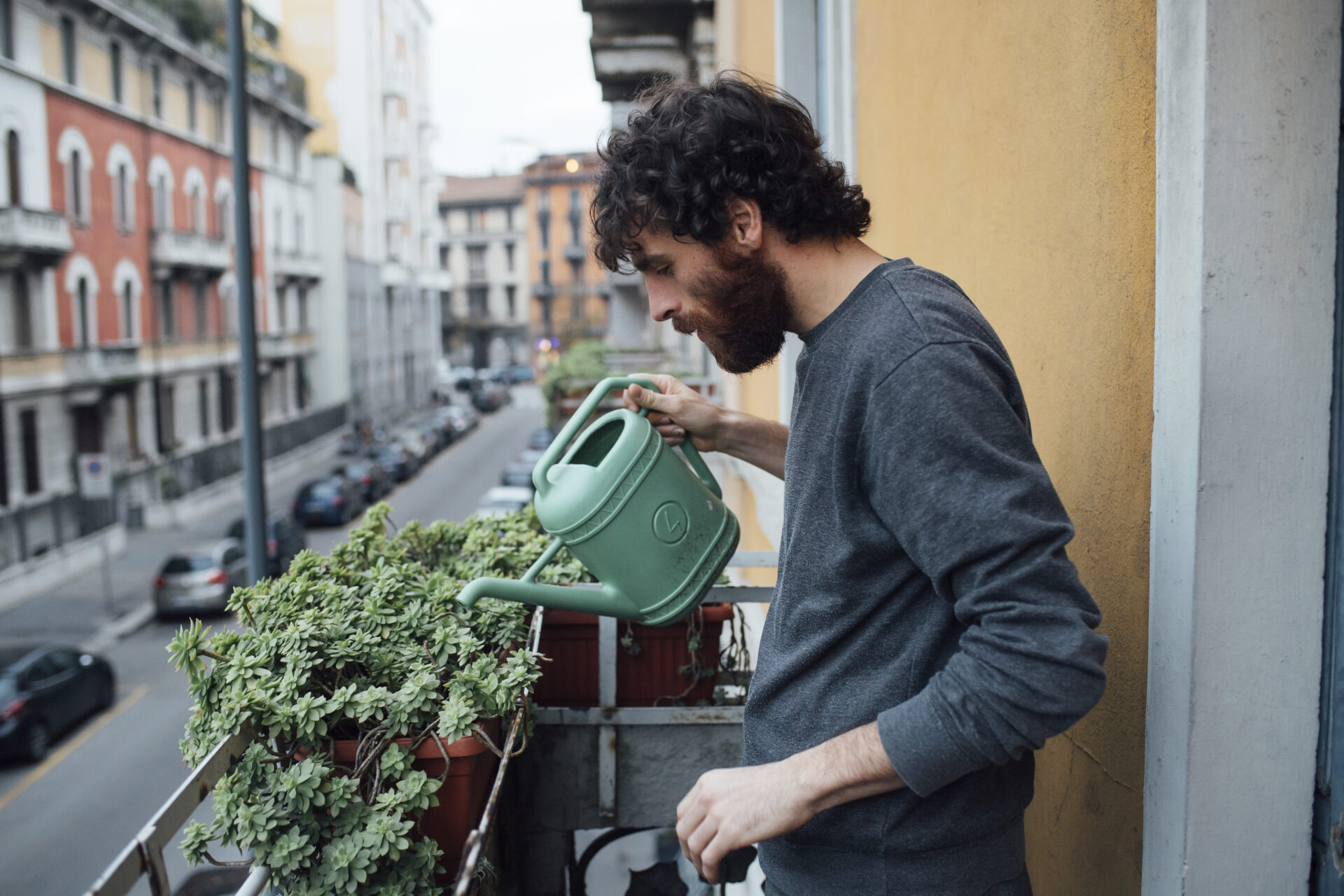En este momento estás viendo CONVIERTE TU TERRAZA O BALCÓN EN UN “MICROPULMÓN” VERDE